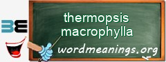 WordMeaning blackboard for thermopsis macrophylla